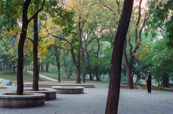 Comprendre l'Infarctus du Myocarde: Causes Symptômes et Prévention